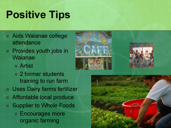 Presentation slide 12