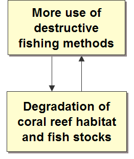 Figure 1. Vicious cycle of destructive fishing and degradation of coral reef habitat and fish stocks.