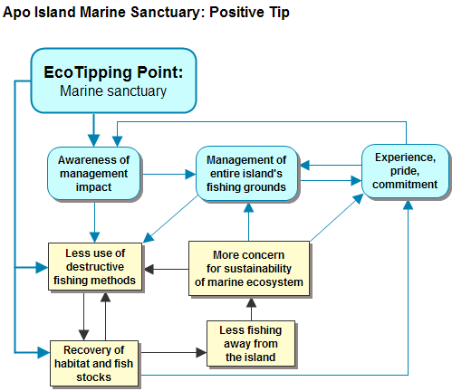Figure 5. Virtuous cycles that locked Apo Island into sustainability. 
