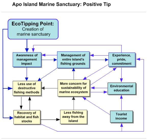 Apo Island Positive Tip