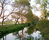 Wetland Agro-Ecosystem - India