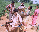 Escaping Pesticide Trap - India